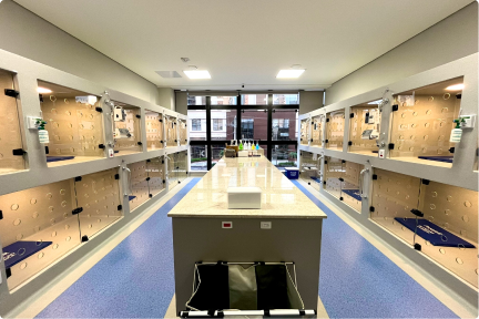 ed_04_13_emed_click_evento_encontroaprovados_medicina_(1429)-2