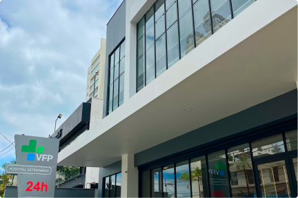 ed_04_13_emed_click_evento_encontroaprovados_medicina_(1429)-6